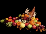 Cornucopia