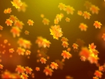 Falling Autumn Leaves