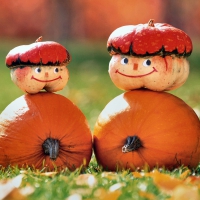 Erntedank - Thanksgiving