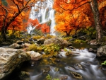 Autumn Waterfall