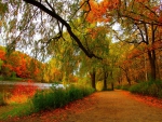 Autumn By The Lake