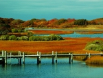 Autumn At Martha's Vineyard