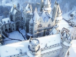 Once upon a time ... it was a snowy castle...