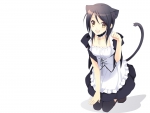 Neko Maid