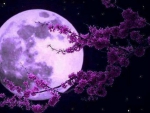 Purple Moon