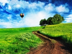 Hot Air Balloon over Green Field