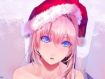 Beautiful Santa