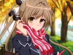 Sento Isuzu