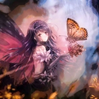 butterfly trans