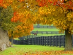 Autumn farm