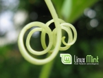 Linux Mint