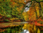 River in autumn forest