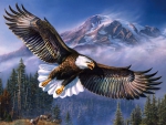 Eagle in Flight F2Cmp