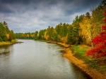 Autumn Along The Riverbank