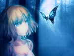 Blue butterfly