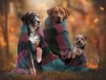 Autumn Trio