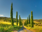Tuscany