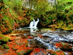 AUTUMN FOREST WATERFALLS