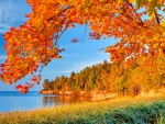 AUTUMN LAKESHORE