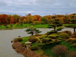 Japanese Garden