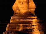 Sphinx at night