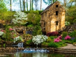 The Old Mill And The Spring
