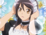 Maid Sama