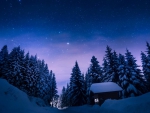 Winter night
