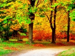 AUTUMN NATURE