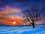 Sunset in winter