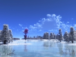 Winter Lake