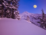 Winter Moon