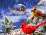 â˜…Cardinals in Winterâ˜…