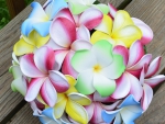 Plumerias colorful Bouquet