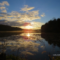 Sunrise Reflections on the Lake
