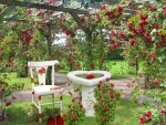 Garden of roses