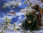 Black bear on wintery hill