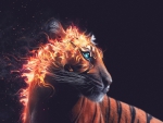 Tiger on fire