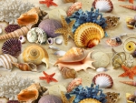 Sea shells