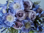 Blue Bouquet