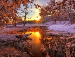 Winter sunrise