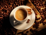 Coffee and cinnamon sticks