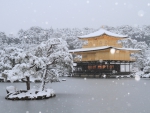 Kinkaku-ji Temple