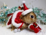 Bunny Santa
