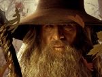 Gandalf, The Grey