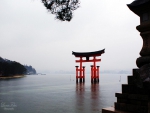 Akai Torii