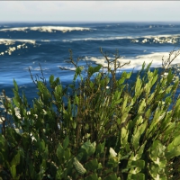 Grand theft Auto 5 ps4 - perese1