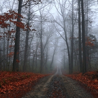 The Lightness of Being