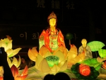 Korean Light Lotus festival