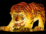 Korean tiger festive lights